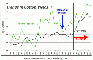 Cotton-Yields