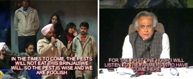 Public consultation on Bt brinjal