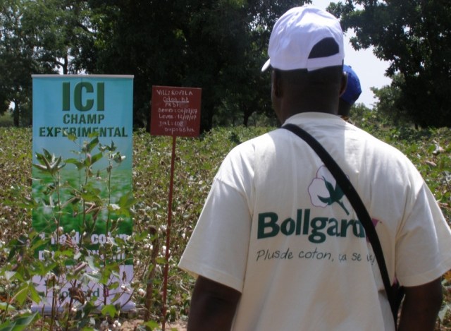 Dowd-Uribe.Field.Trial.Oct.07.BF